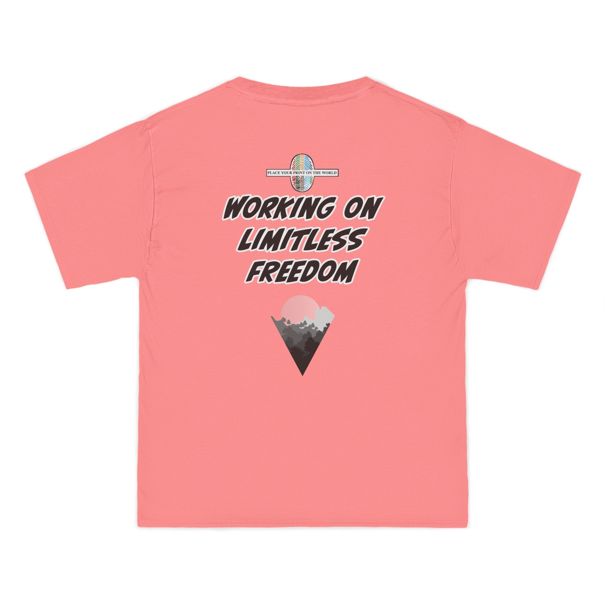 Change The Picture AR T-Shirt